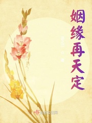 姻缘再天定封面