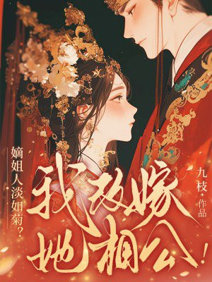 嫡姐人淡如菊?我改嫁她相公!