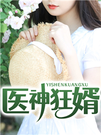 医神狂婿封面