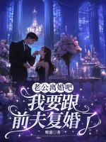 老公离婚吧，我要跟前夫复婚了封面