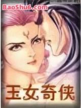 玉女奇侠封面
