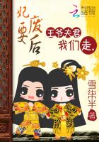 妃要废后:王爷夫君我们走